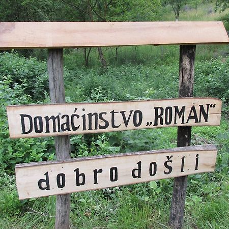 Country House Roman Doboj Kültér fotó