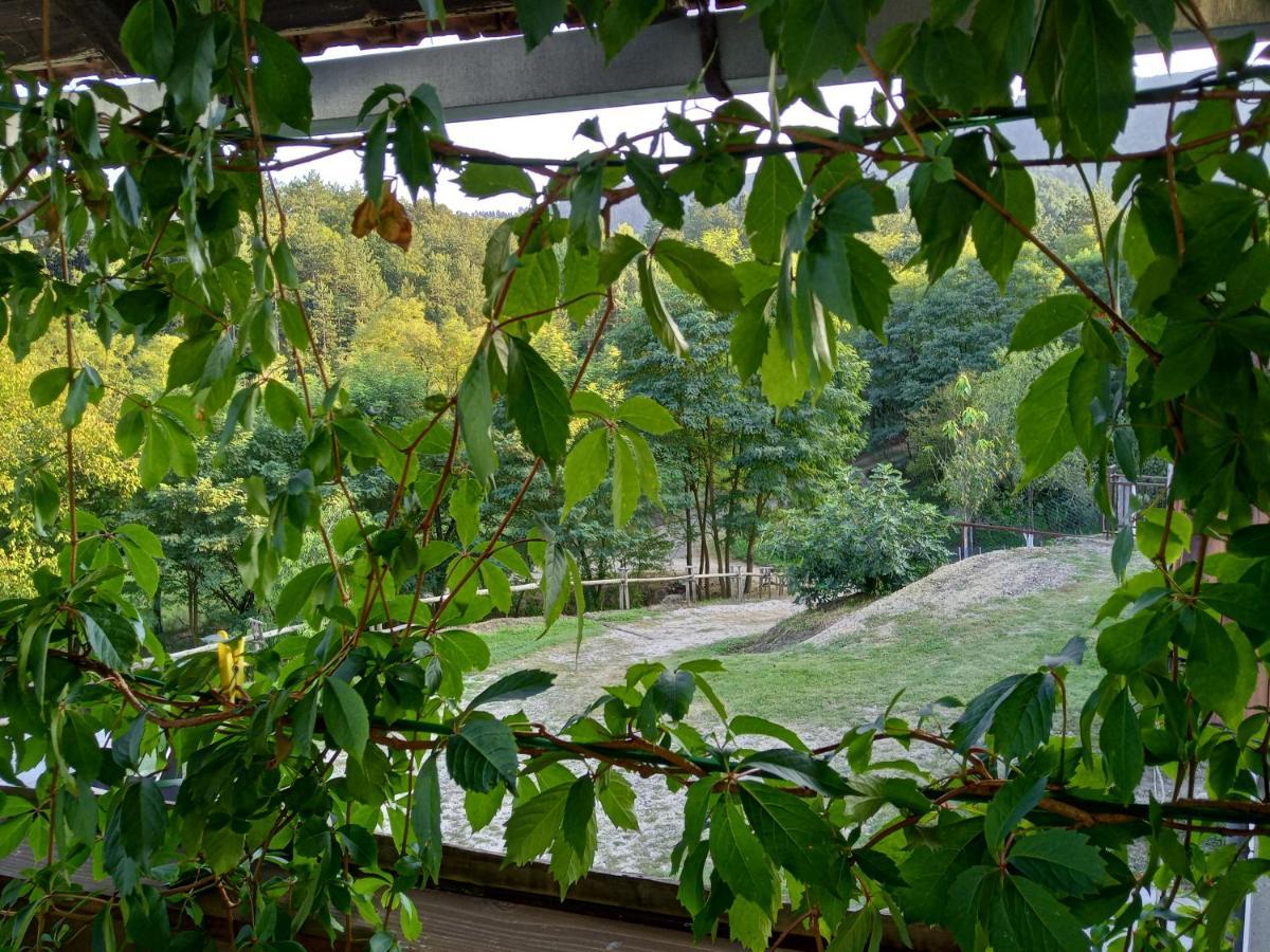 Country House Roman Doboj Kültér fotó
