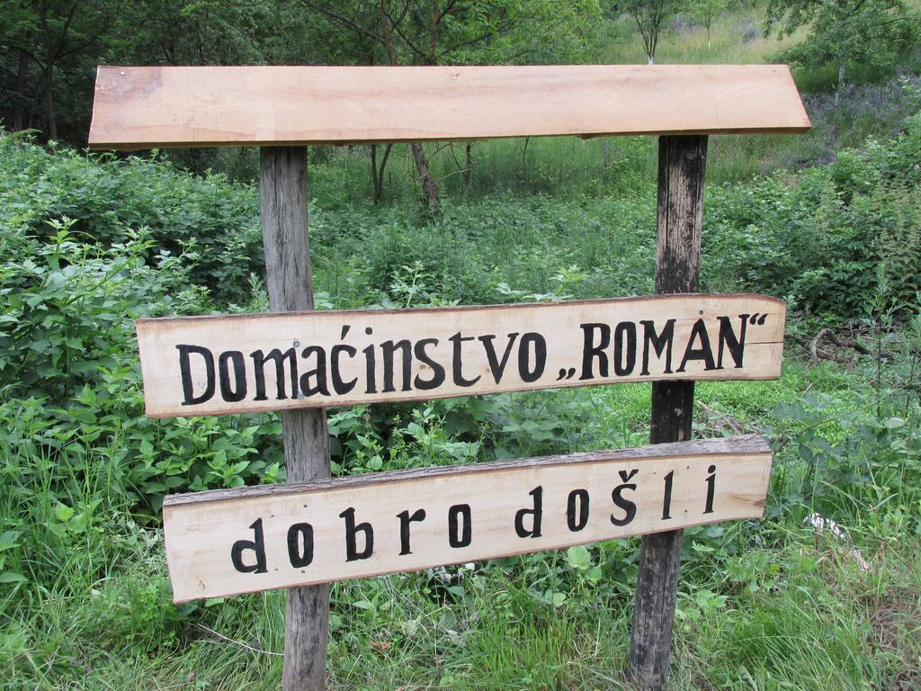 Country House Roman Doboj Kültér fotó