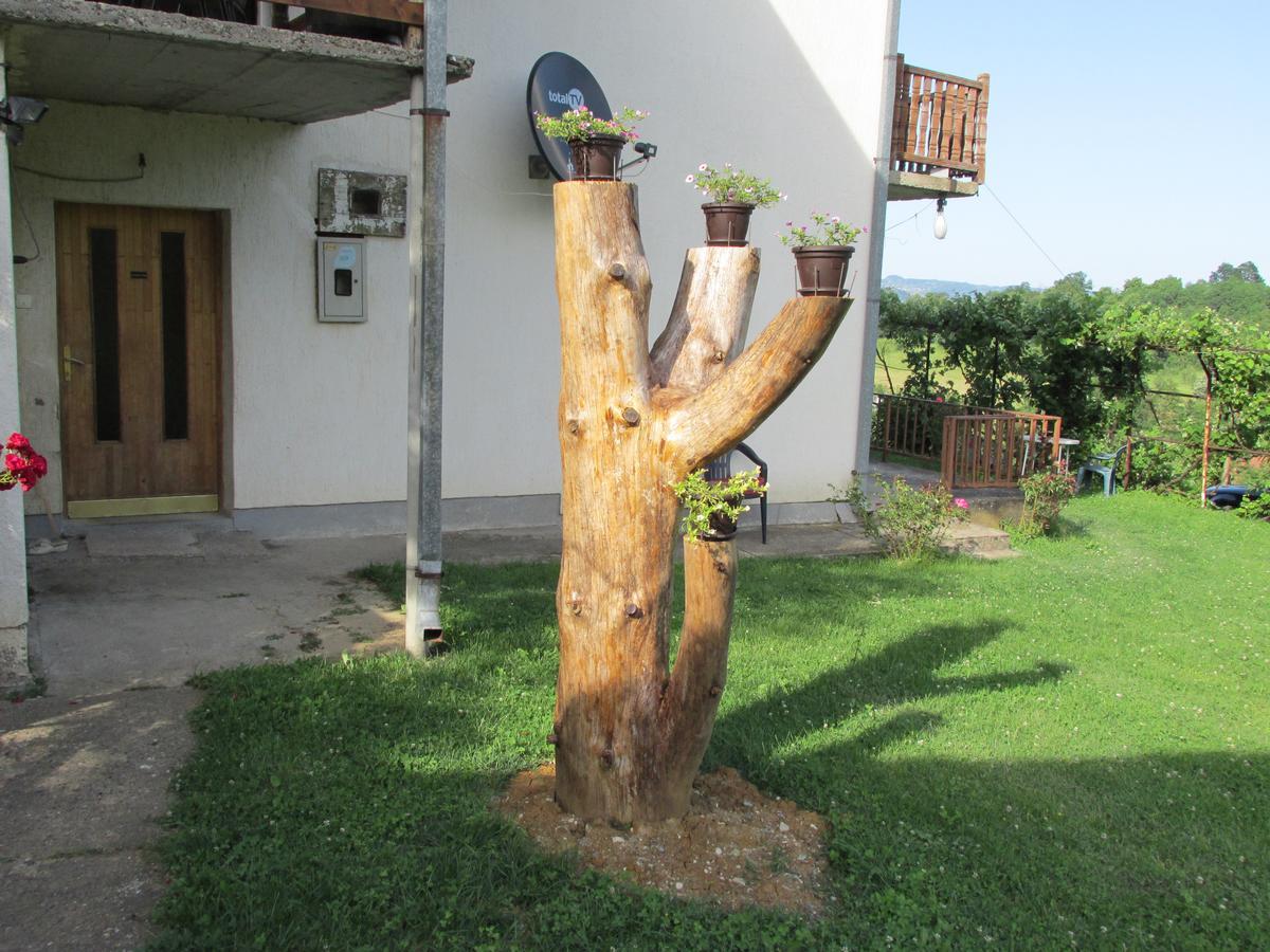Country House Roman Doboj Kültér fotó